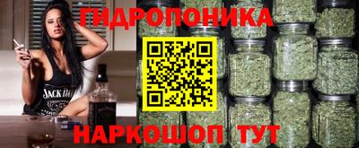 твердый Ставрополь