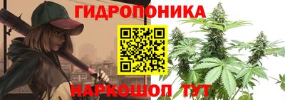 твердый Ставрополь