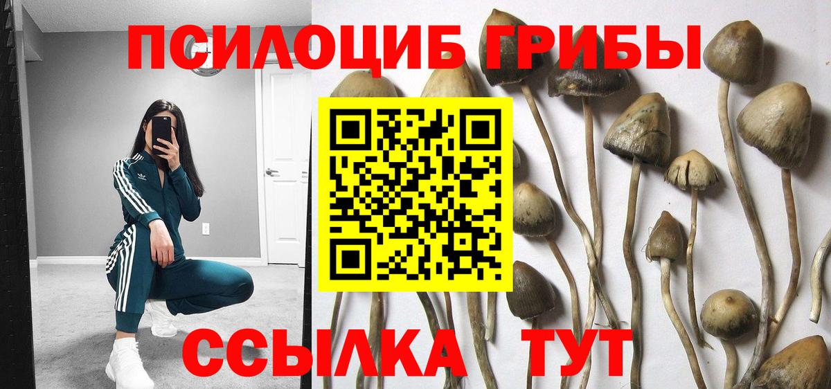 Галлюциногенные грибы ЛСД Ногинск