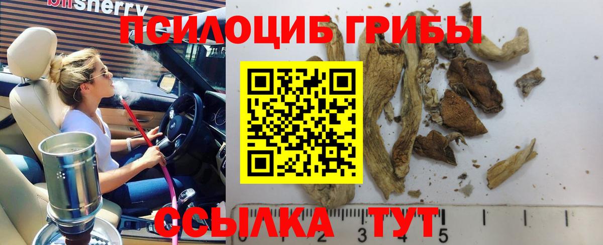 Ногинск  Псилоцибиновые грибы Psilocybe  Вход с VPN 